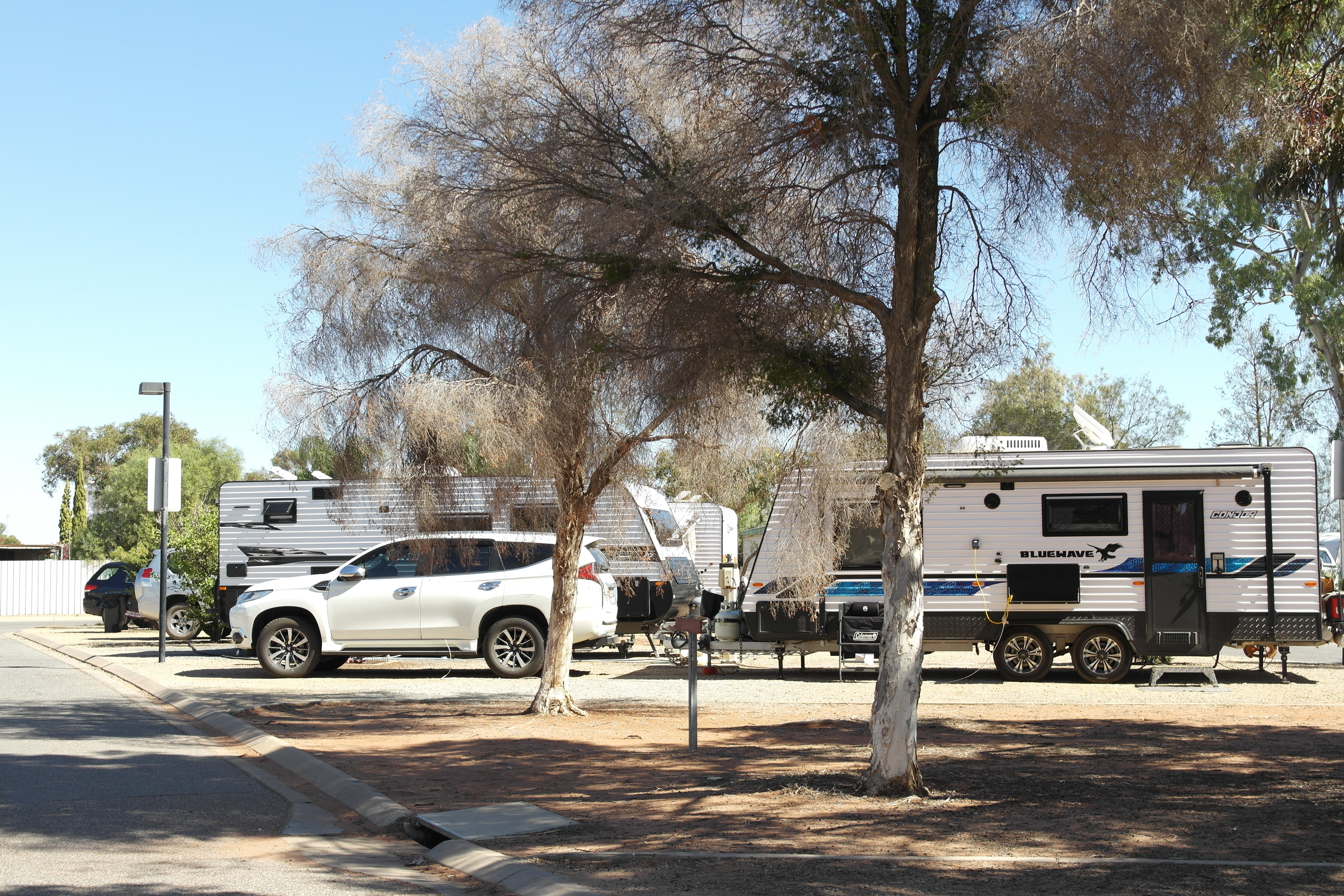 Group of caravan's camped at powered sites
